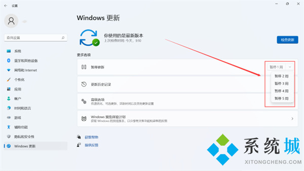 电脑<a href=/win11/ target=_blank class=infotextkey>win11</a>怎么关闭自动更新系统 <a href=/win11/ target=_blank class=infotextkey>win11</a>强制更新太恶心了设置永不更新