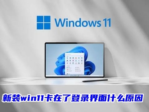 新装win11卡在了登录界面什么原因 win11登录微软账户一直转圈怎么办