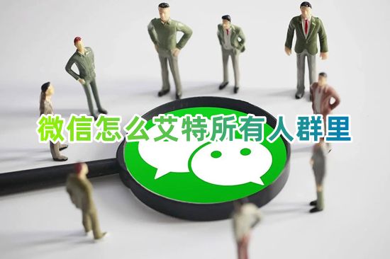微信怎么艾特所有人群里 微信怎么一键艾特群里的全体成员
