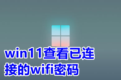 win11查看已连接的wifi密码 win11怎么查看wifi密码