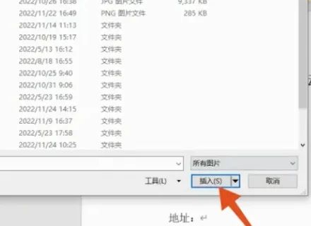 word怎么把证件照嵌入单元格不变形 word表格怎么插证件照正好合适