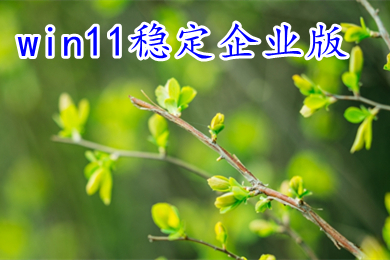 win11稳定企业版64位系统下载 win11旗舰改良版iso镜像下载