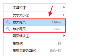 有“放大网页”和“缩小网页”