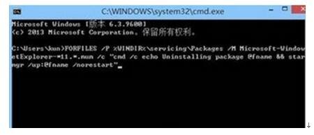 Windows8.1系统卸载IE11<a href=/softxz/llq/ target=_blank class=infotextkey>浏览器</a>失败的处理方法