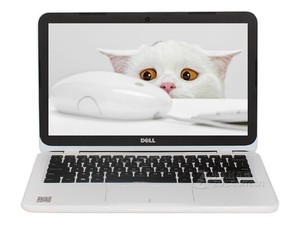 戴尔Inspiron 灵越 11 3000系列怎么装win10系统教程