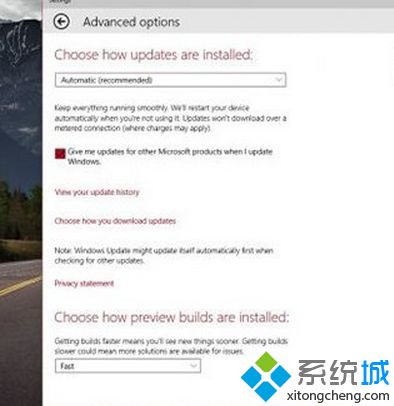 Win10内测用户表示不在乎Bug：只想获得最新版本