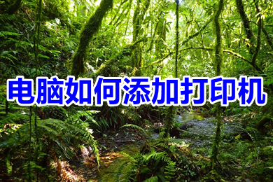 电脑如何添加打印机 win10系统如何添加打印机