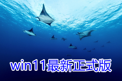 win11最新正式版下载 windows11官方正式版wim镜像下载