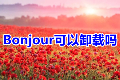 Bonjour可以卸载吗 Bonjour怎么卸载