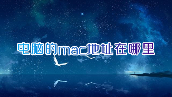 电脑的mac地址在哪里 电脑mac地址查询方法