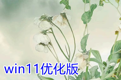 win11优化版ghost下载 windows11优化版64位系统下载