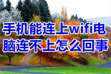 手机能连上wifi电脑连不上怎么回事 电脑连不上网但是手机可以怎么解决