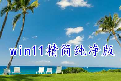 win11精简纯净版系统下载 windows11 22H2纯净版镜像包下载