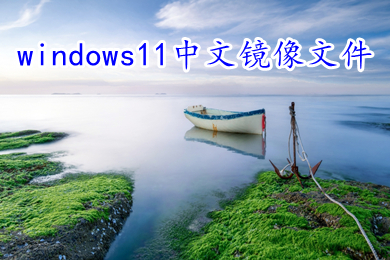 windows11中文镜像文件下载官网 win11 ghost最新正式版64位系统下载