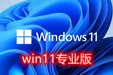 win11专业版有哪些 win11专业版系统下载