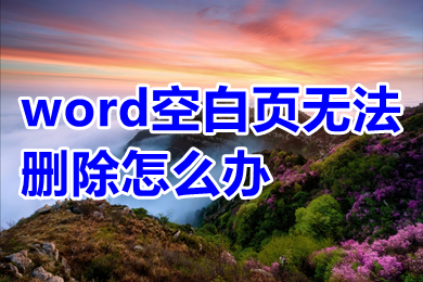 word空白页无法删除怎么办 怎么将word里的空白页删除