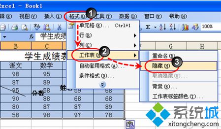 将当前显示的工作表隐藏起来