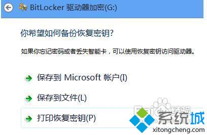 启用Bitlocker驱动器加密功能步骤六