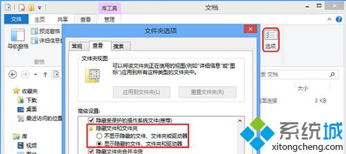 勾选“显示隐藏的文件、文件夹和驱动器”