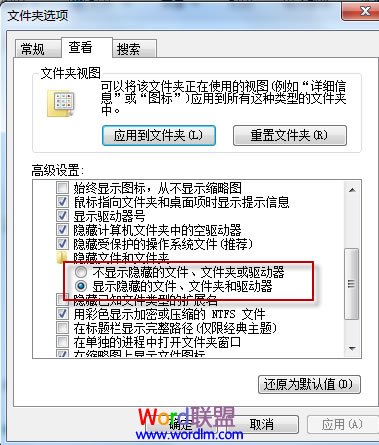 显示隐藏的文件,文件夹和驱动器