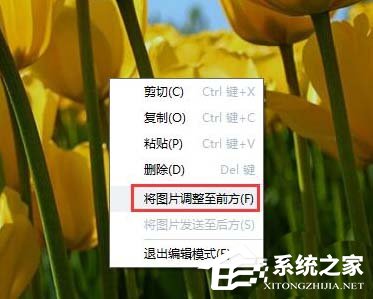 abbyy finereader如何为<a href=/softxz/pdf/ target=_blank class=infotextkey>pdf</a>文件添加图片?abbyy finereader为<a href=/softxz/pdf/ target=_blank class=infotextkey>pdf</a>文件添加图片的方法步骤
