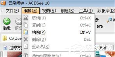 ACDSee中如何使用粘贴功能?ACDSee中使用粘贴功能的操作步骤