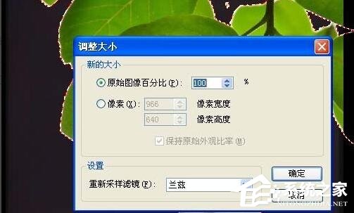 ACDSee中如何利用魔术棒抠图?ACDSee中利用魔术棒抠图的方法步骤