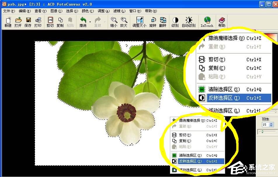 ACDSee中如何利用魔术棒抠图?ACDSee中利用魔术棒抠图的方法步骤
