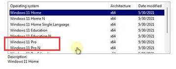 <a href=/win11/ target=_blank class=infotextkey>win11</a> pro是什么版本