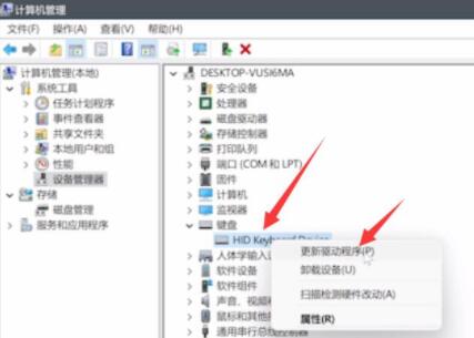 電腦升級<a href=/win11/ target=_blank class=infotextkey>win11</a>鍵盤不能用怎么辦