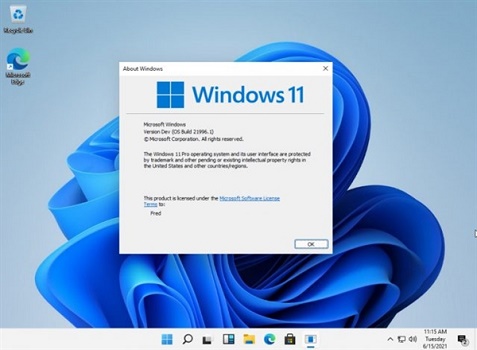 <a href=/win10/ target=_blank class=infotextkey>win10</a>可以免费升<a href=/win11/ target=_blank class=infotextkey>win11</a>