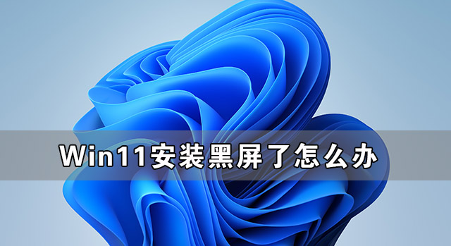 <a href=/win11/ target=_blank class=infotextkey>win11</a>安装黑屏了怎么办