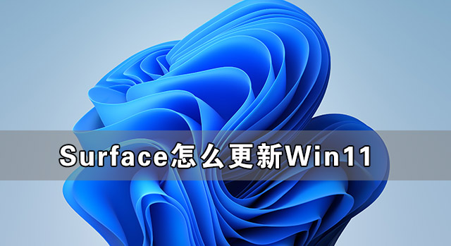 Surface怎么更新<a href=/win11/ target=_blank class=infotextkey>win11</a>