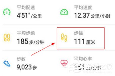悦跑圈怎么看步幅？看步幅的方法