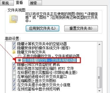 显示隐藏文件