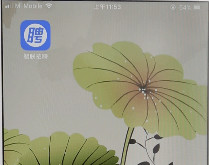 智联招聘如何隐藏简历？智联招聘隐藏简历的方法