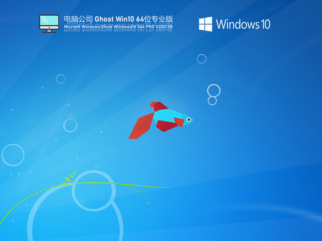 电脑公司<a href=/win10/ target=_blank class=infotextkey>windows10</a> 64位稳定专业版 V2021.08