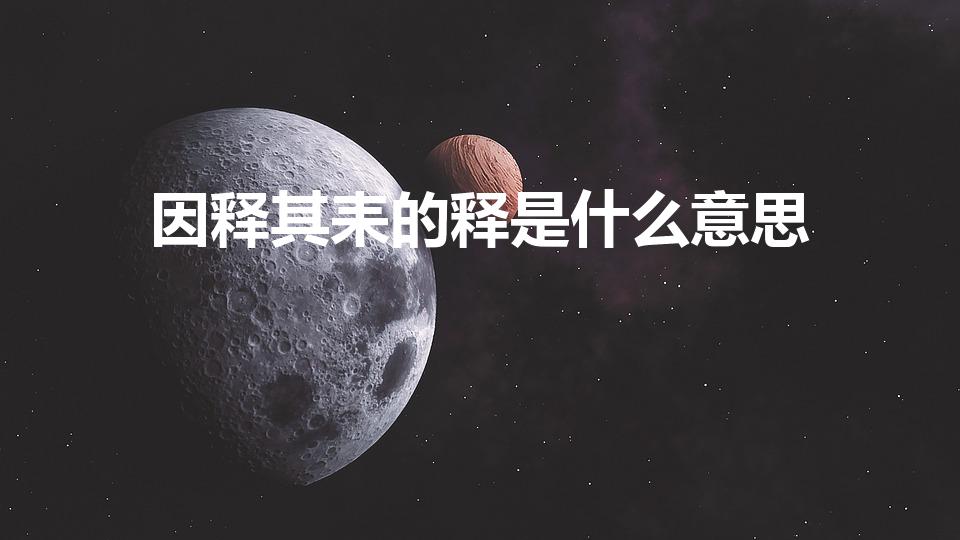 因释其耒的释是什么意思（因释其耒而守株的释意思是什么）