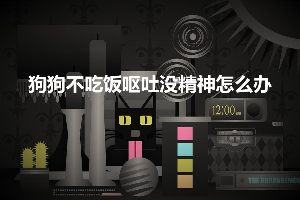 狗狗不吃饭呕吐没精神怎么办