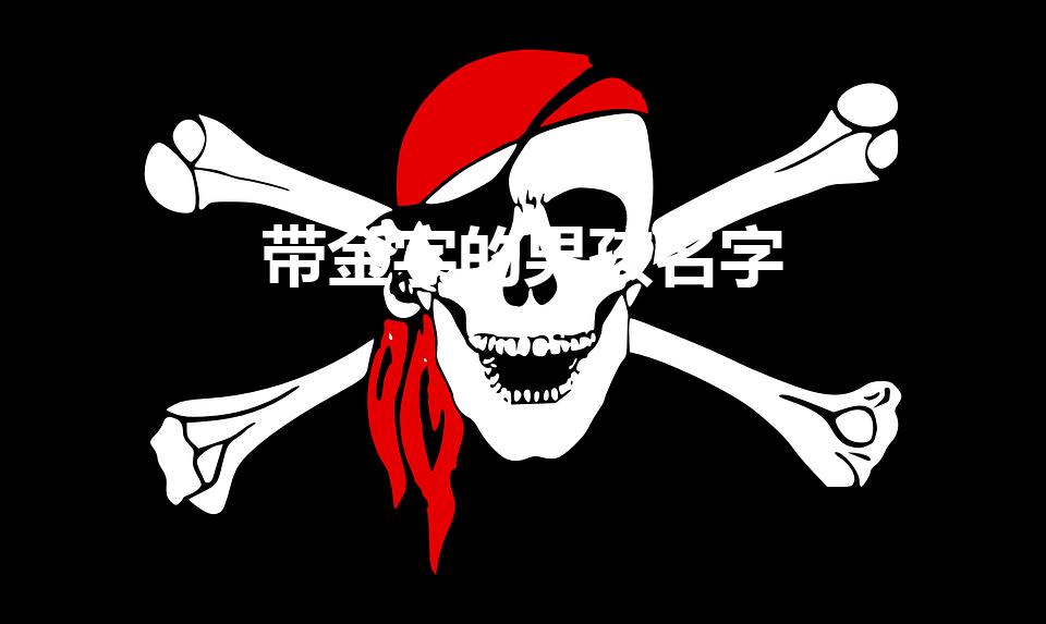 带金字的男孩名字（男孩子名字带有金字旁的有哪些)