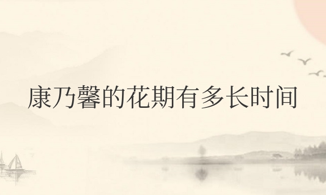 康乃馨的花期有多长时间