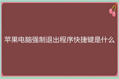 苹果电脑强制退出程序快捷键是什么 mac结束进行方法大全介绍