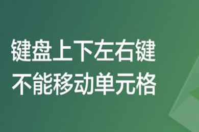 键盘上下左右键不能移动单元格怎么办  具体解决方法介绍