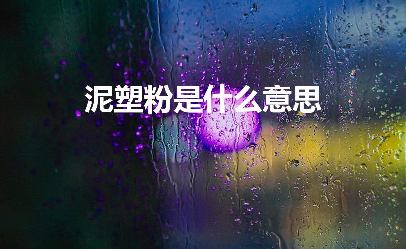 泥塑粉是什么意思（网络用语泥塑是什么意思）