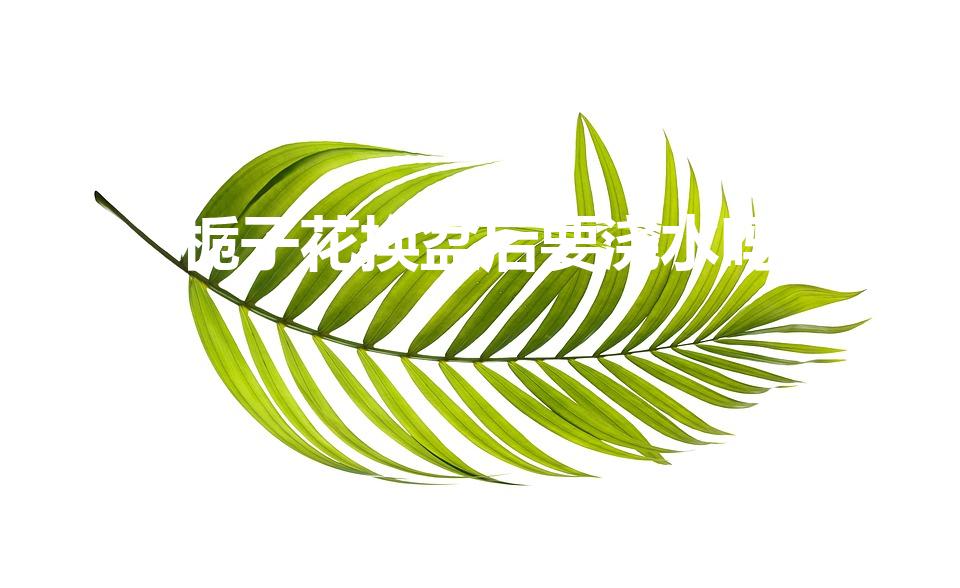 栀子花换盆后要浇水吗（栀子花换盆后养护)