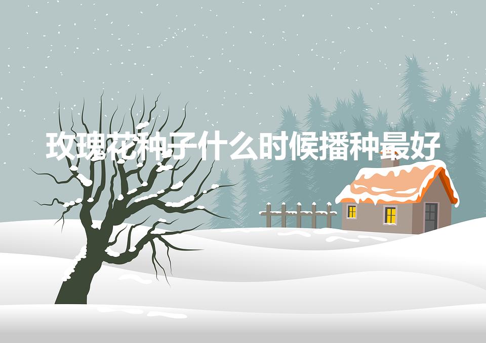 玫瑰花种子什么时候播种最好（玫瑰适合什么时候播种）