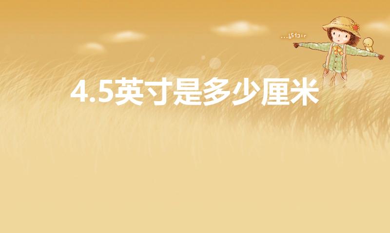 4.5英寸是多少厘米（4.5英寸的手机屏幕有多大）