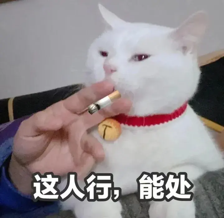 如何让已录屏的视频恢复声音（手机录屏没有声音怎么恢复）