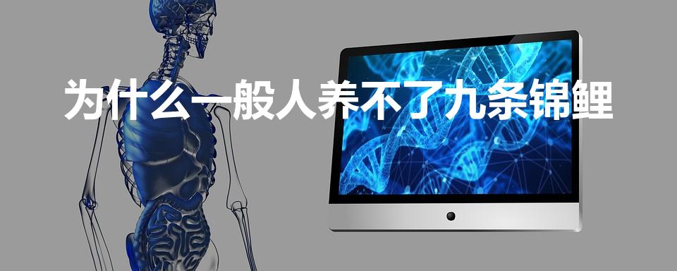 为什么一般人养不了九条锦鲤（锦鲤为什么养九条）