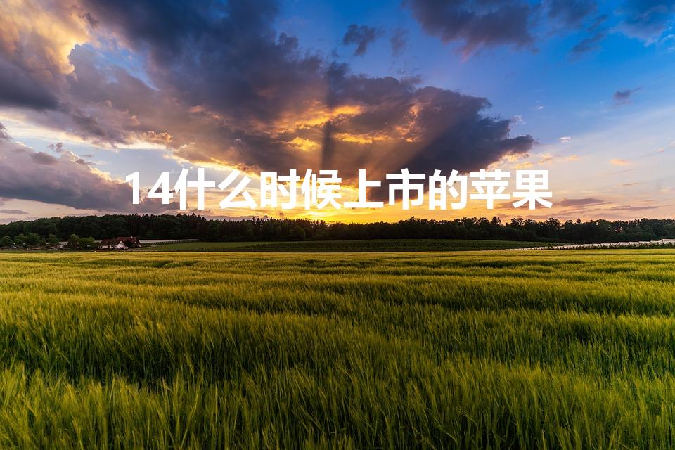 14什么时候上市的苹果（苹果14什么时候上市的）